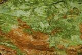 Polished Chrome Opal Slab - Western Australia #132958-1